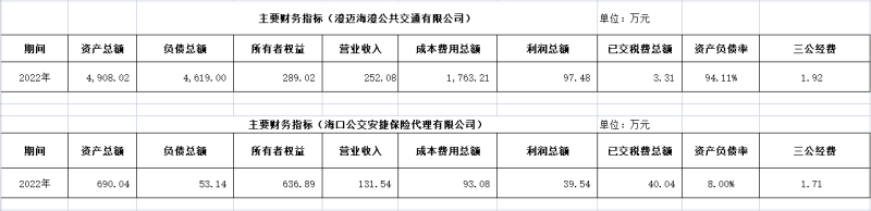 ?？诠患瘓F(tuán)及下屬各子公司2022年度信息公開財(cái)務(wù)主要指標(biāo)明細(xì)2_副本.png